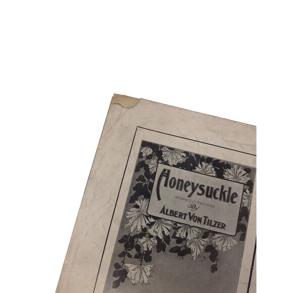 1908 Smarty Sheet Music by Albert Von Tilzer Words by Jack Norworth - Picture 13 of 14